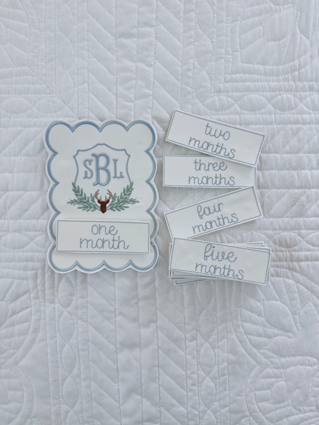 Interchangeable Monthly Milestone Card